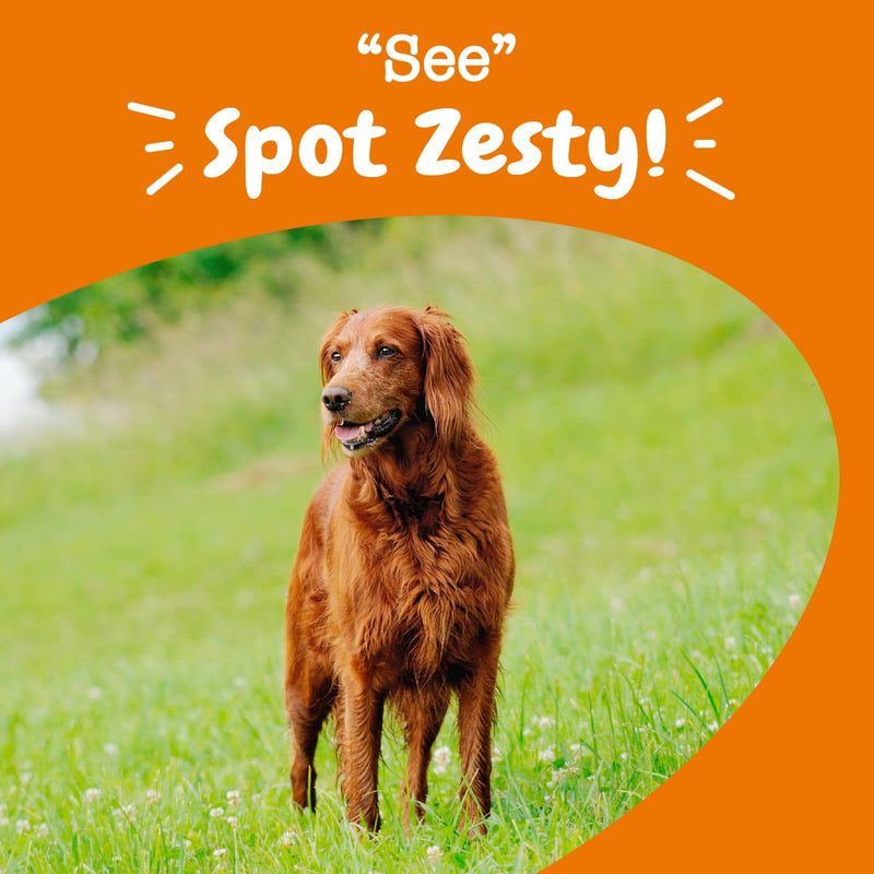 Zesty Paws Eye Supplement for Dogs - Vision Support with Lutein + Vitamin C & Astaxanthin Antioxidants - Dog Vitamins for Eyes + Fish Oil for Omega 3 EPA & DHA for Senior Dogs 90 Count - BeesActive Australia