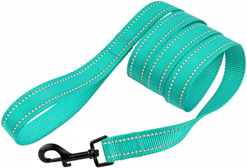 CollarDirect Nylon Dog Leash 5ft for Daily Outdoor Walking Running Training Heavy Duty Reflective Pet Leashes for Large, Medium & Small Dogs Mint Green - BeesActive Australia