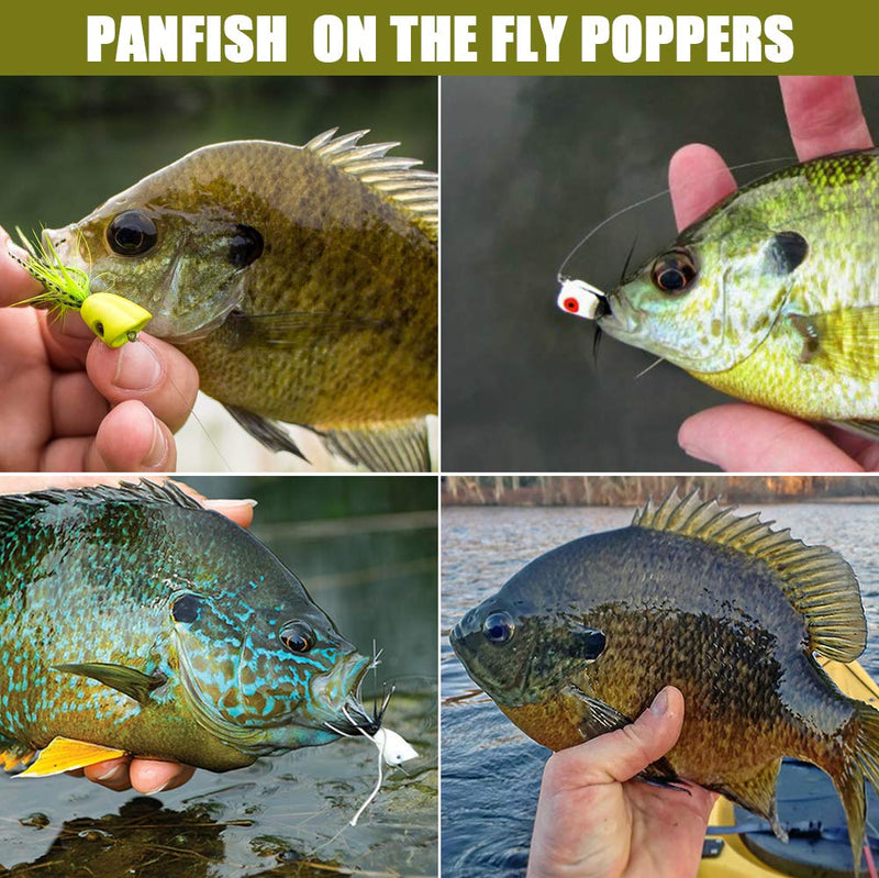 XFISHMAN Popper-Flies-for-Fly-Fishing-Topwater-Bass-Panfish-Bluegill Poppers Flies Bugs Lures Panfish Popper kit 10 pcs - BeesActive Australia