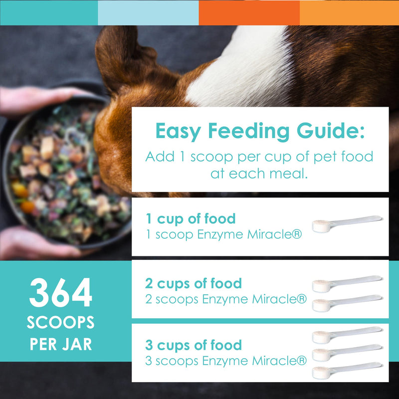 Enzymes for Dogs & Cats - Enzyme Miracle - Systemic & Digestive Enzyme Formula - Powder - 364 Servings - Vegetarian - BeesActive Australia