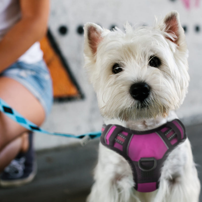 FurDreams No Pull Dog Harness - Secure Padded Vest Harness, Comfortable Material with Reflective Strips, Non-Restrictive, No Choke Fit with 4 Adjustable Straps, Easy Clip On Buckle Small Pink - BeesActive Australia