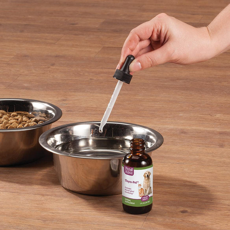 All Natural Herbal Supplement Promotes Normal Thyroid Gland Functioning in Dogs and Cats - Helps Address Common Hypothyroidism Symptoms in Pets One Size Fits All - BeesActive Australia