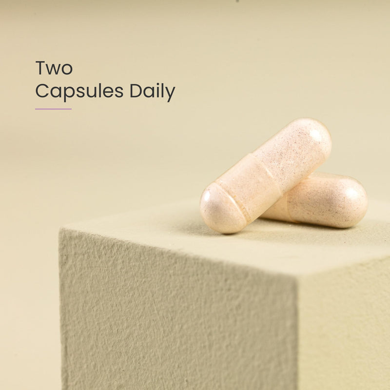 Proceive� Women Fertility Supplement for Conception - Pregnancy Vitamins for Women Trying to Conceive - Zinc, Folic Acid, Vitamin D - 60 Capsules (1 Month Supply) - Vegetarian Women - 60 capsules - BeesActive Australia