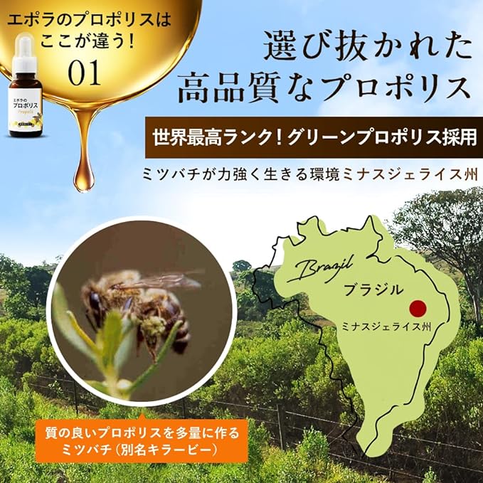 Epora Propolis Additive-Free / Propolis Solution (Green Propolis Made in Brazil) Flavonoids Amino Acids/Liquid - BeesActive Australia