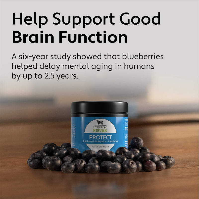 Four Leaf Rover: Protect - Soil-Based Probiotics for Dogs with Food-Based Prebiotics for Gut Health and Immune Support - Up to 90 Servings, Depending on Dog’s Weight - Vet Formulated - for All Breeds - BeesActive Australia