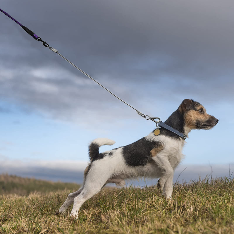 voopet Chew-Proof Dog Leash Extension Works with Any Leash & Collar & Harness - Super Strong and Durable Non-Tangle Connect Leash (Multiple leashes are Used for Multiple Dogs) For one dog Silver - BeesActive Australia