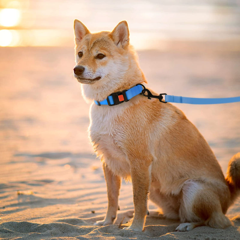 CollarDirect Waterproof Dog Leash Small Medium Large Durable Pet Leashes for Walking Training Running Pink Black Blue Orange Green - BeesActive Australia