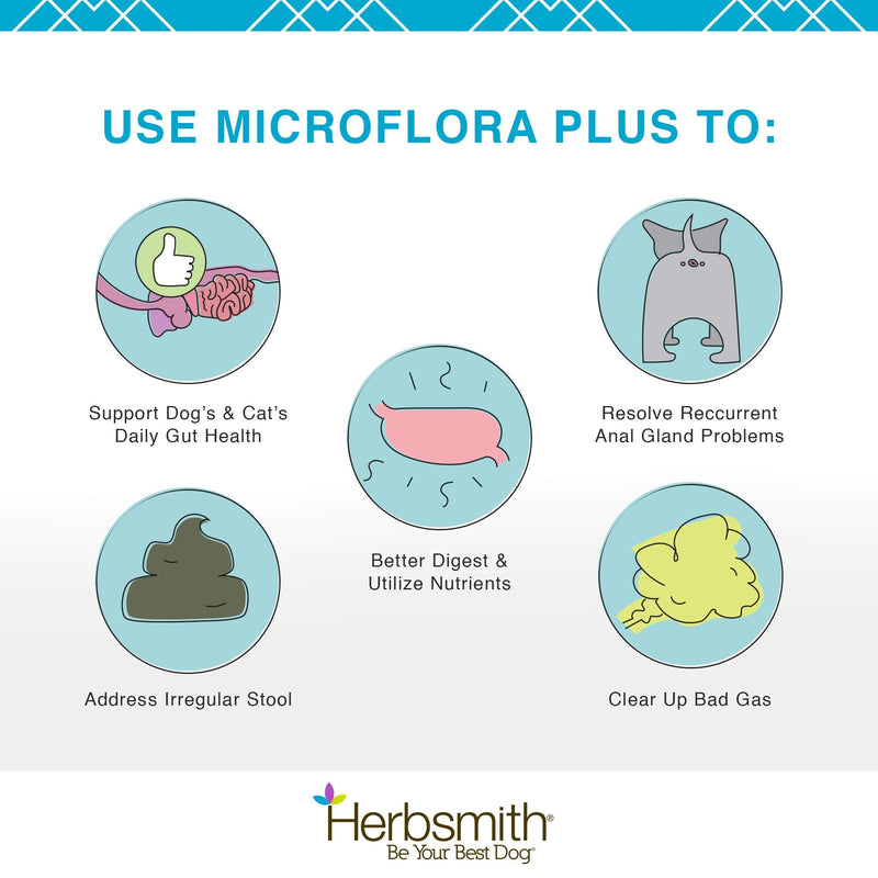 Herbsmith Microflora Plus – Dog Digestion Aid –Probiotics and Digestive Enzymes for Dogs – Prebiotic for Dogs 120 Capsules - BeesActive Australia