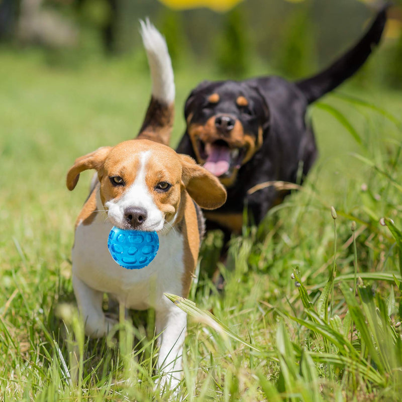 3.2 Inch Durable Pet Dog Balls Toys Rubber Squeak Dog Ball Indestructible Dog Toy Balls… Blue+Red+Purple - BeesActive Australia