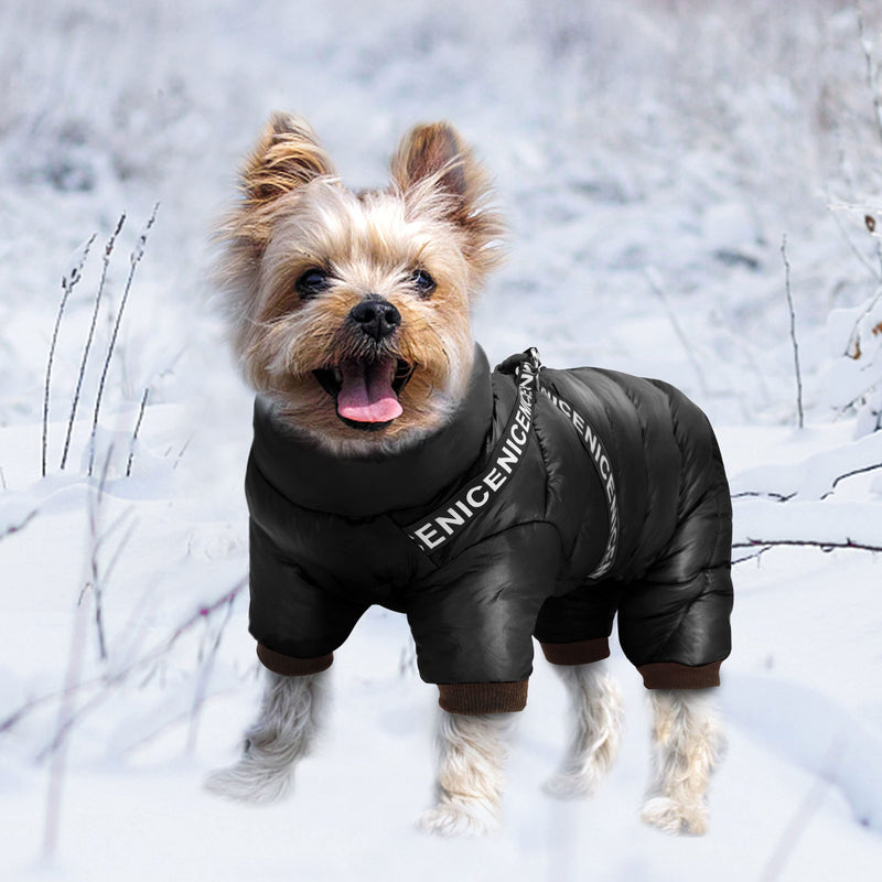 Didog Winter Small Dog Coats,Waterproof Jackets with Harness & D Rings,Warm Zip Up Cold Weather Coats for Puppy & Cats Walking Hiking Chest 15 Inch;Back length 13 Inch Black - BeesActive Australia