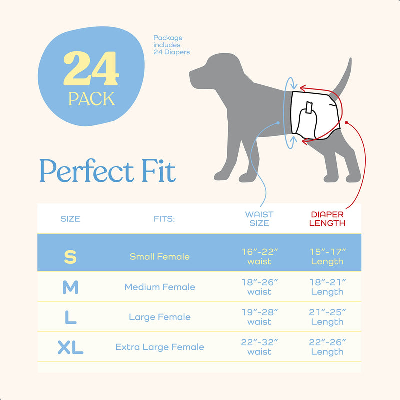 Comfortable Female Dog Diapers - Super Absorbent Disposable Doggie Diapers - FlashDry Gel Technology & Wetness Indicator - Leakproof Diapers for Dogs in Heat, Excitable Urination, Incontinence Small 24.0 - BeesActive Australia