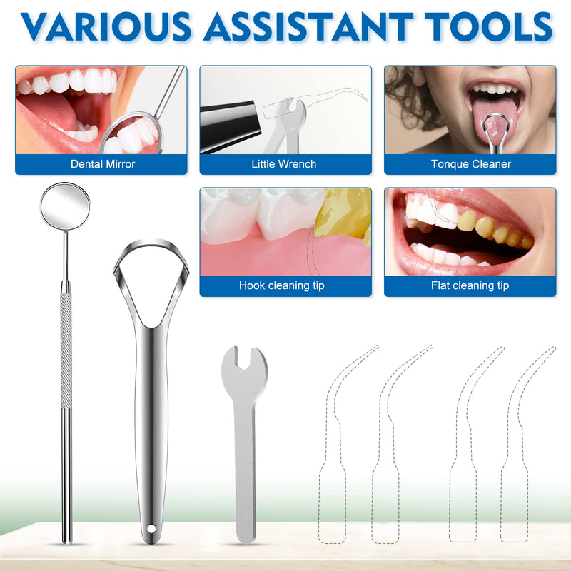 Dental Cleaner kit Teeth Cleaning Kit with 5 Modes IPX6 Waterproof LED 4 Replaceable Cleaning Heads - BeesActive Australia