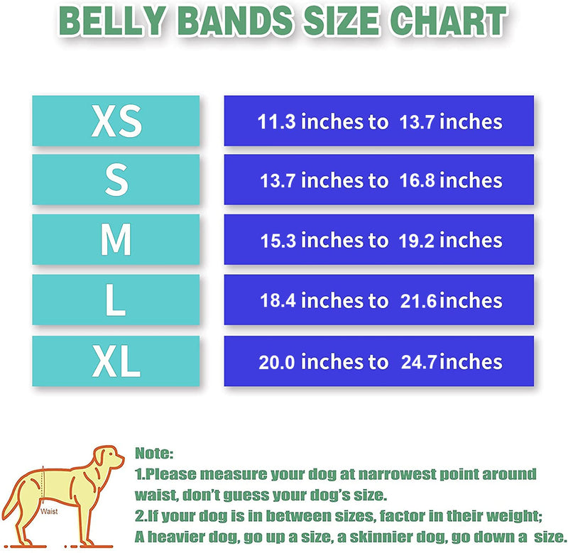 ACDOK Dog Diapers Male, Reusable Belly Bands for Male Dogs Wraps (Pack of 3) Upgrade Durable Delly Diapers for Dogs X-Small (Pack of 3) - BeesActive Australia