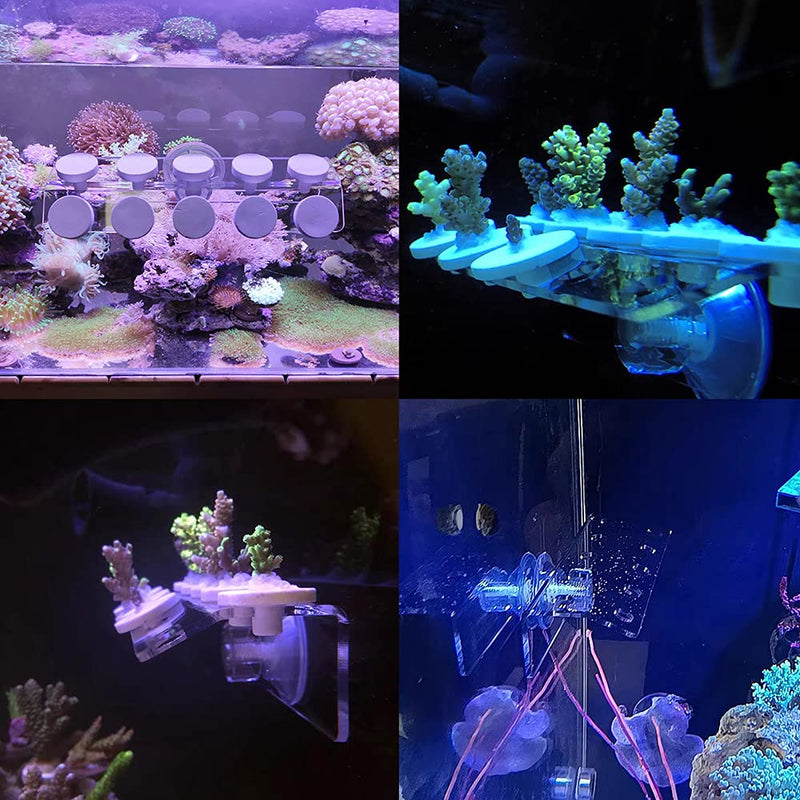 Coral Frag Holder Acrylic Coral Frag Rack with Powerful Double Suction Cups Suitable for Household Fish Tanks (10 Plug Holes) - BeesActive Australia