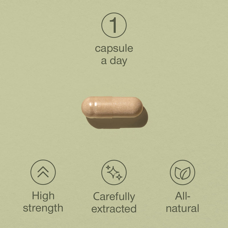 Organic Lions Mane Supplement - 1800mg Lion's Mane Capsules High Strength - Certified Organic by The Soil Association - 30 Capsules - 100% Lion Mane Mushroom Fruiting Bodies Extract - Made in The UK - BeesActive Australia