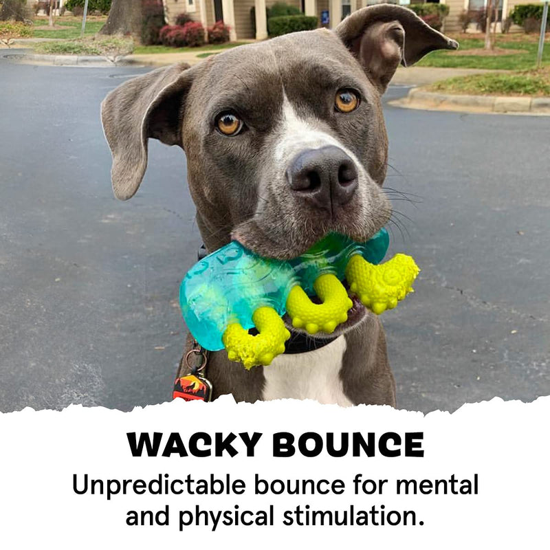 BarkBox Tough Dog Toys & Chews for Aggressive Chewers, Durable Rubber & Nylon Super Chewer Treat Dispensing, Balls, & Teething Toys for Small, Medium, & Large Dogs and Puppies Medium/Large Dog Dog Ness Monster - BeesActive Australia