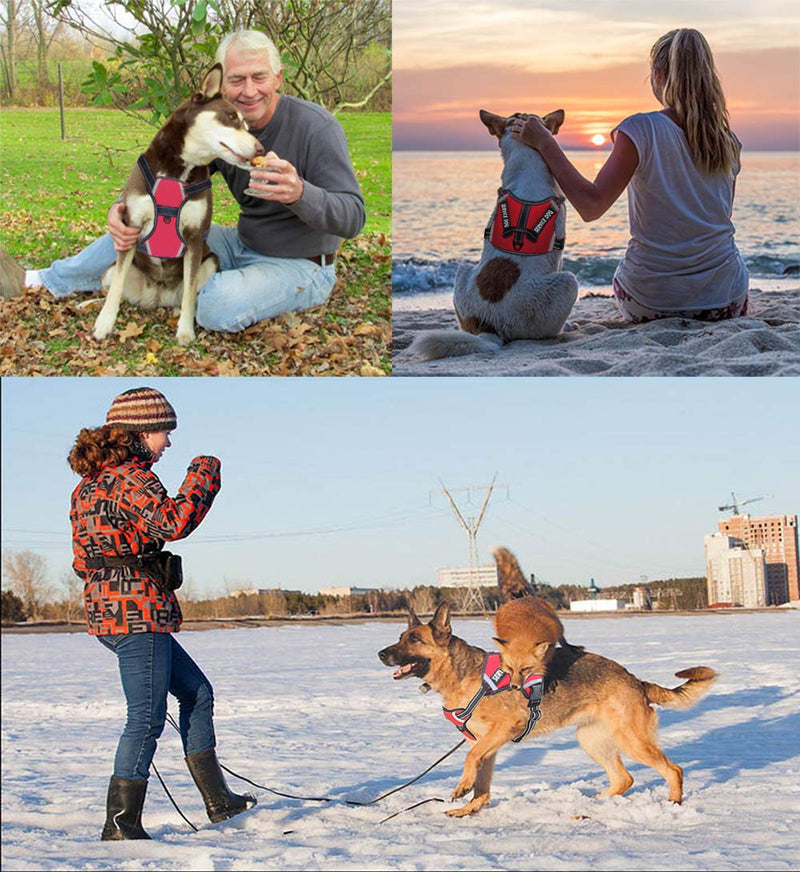 LMOBXEVL Service Dog Harness,No-Pull Dog Harness with Handle Adjustable Reflective Pet Dog in Training Vest Harness,Easy Control for Small Medium Large Breed Outdoor Walking Hiking X-Small (Pack of 1) Red - BeesActive Australia
