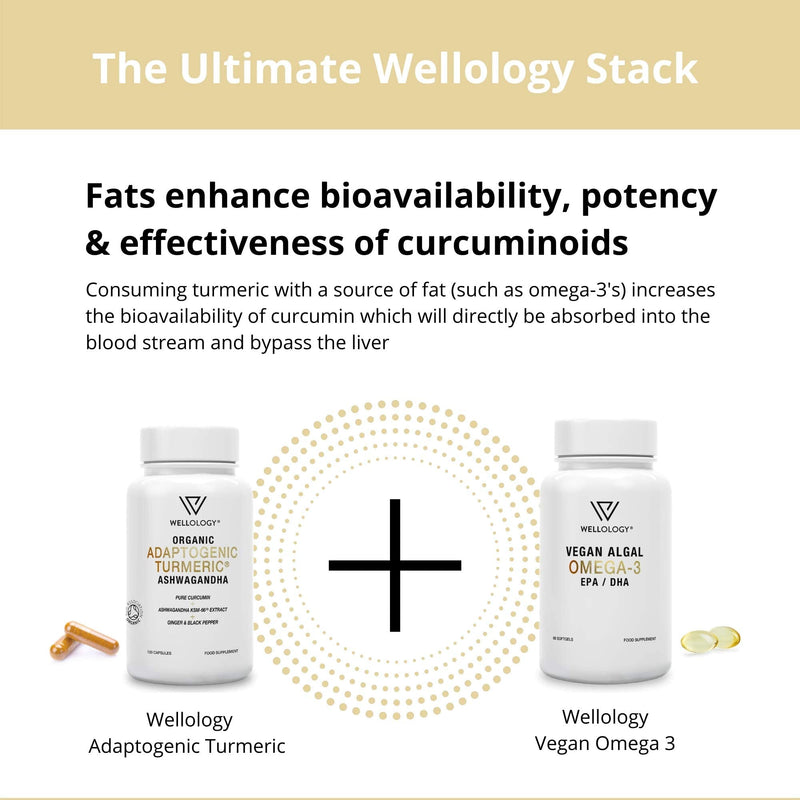 Vegan Omega 3-1200mg Fermented Algae Oil - High Strength EPA DHA - Natures Purest Omega Fatty Acids - Contaminant-Free Alternative to Fish Oil, Cod Liver Oil or Krill Oil - 60 Softgels by Wellology - BeesActive Australia