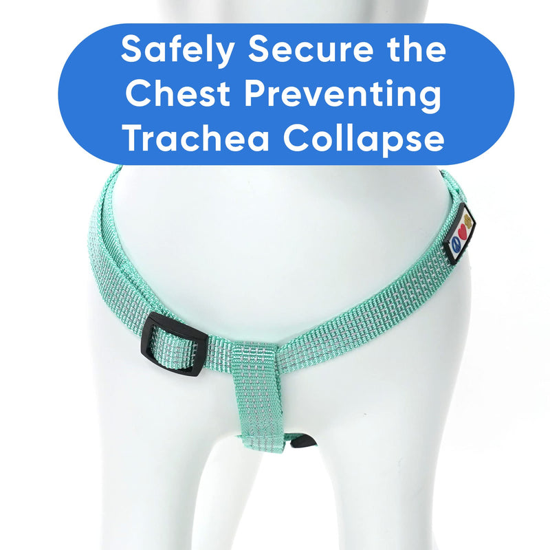 Pawtitas Pet Reflective Step in Dog Harness or Reflective Vest Harness Comfort Control Training Walking of Your Puppy Harness/Dog Harness Medium (Pack of 1) Teal - BeesActive Australia