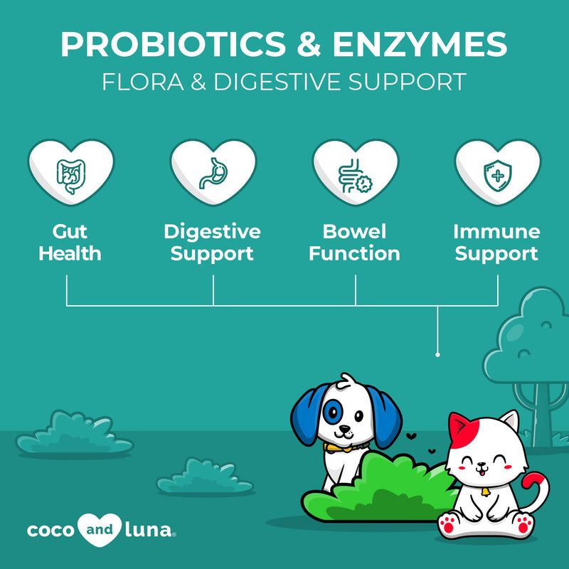 Probiotics for Cats and Dogs – Digestive Enzymes, Cat and Dog Probiotics and Digestive Enzymes, Cat and Dog Probiotics Powder, Promotes Healthy Stomach and Digestion - 4 Oz Powder (120g) - BeesActive Australia