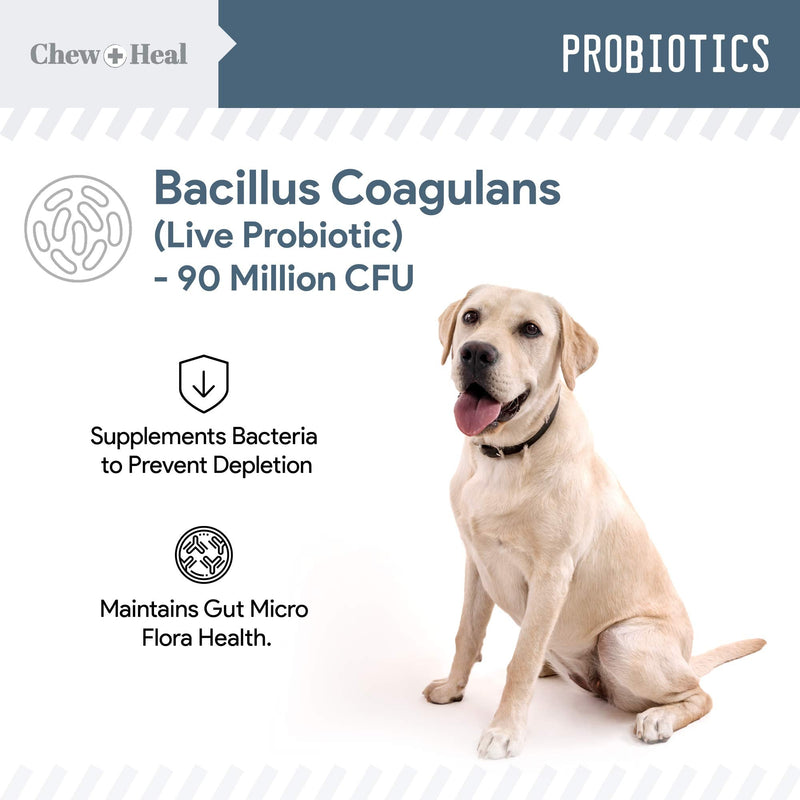 Chew + Heal Digestive Enzymes with Probiotics for Dogs - 120 Soft Chew Treats - Supports Healthy Digestive Tract, Helps Nutrient Absorption, Food Digestion, and Health Maintenance - Made in The USA - BeesActive Australia