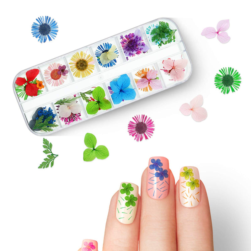 Nail Dried Flower 132 Pieces Dried Flower Nail Art 3D Nail Applique Nail Art Accessory for Nail Decor (Starry Daisy and Five Flower) - BeesActive Australia