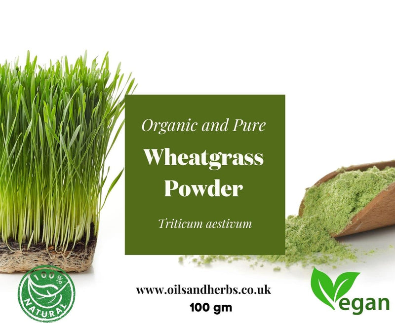 Clean Organic Wheatgrass Powder | 100% Natural and Pure | Eliminate toxins- Boost Your Metabolism (250g) 100 g (Pack of 1) - BeesActive Australia