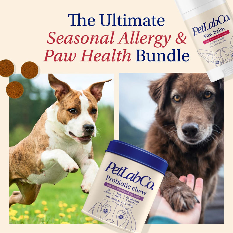 PetLab Co – Paw & Probiotic Bundle: Dog Paw Balm to Support Dry, Cracked Paws 2.4 Ounces & Dog Probiotics for Gut Health, Seasonal Allergies, Skin & Ear Yeast 30 Count - BeesActive Australia