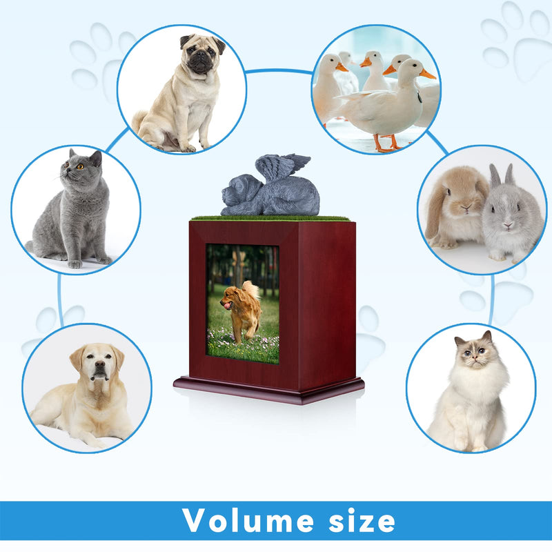 NEWDREAM: Pet Cremation Urns,Pet Photo Urn,Dog Ashes Urn, Box for Dog Ashes, Pet Ashes Photo Box,Ash Box for Dogs, Wood Keepsake Memorial Urns - BeesActive Australia