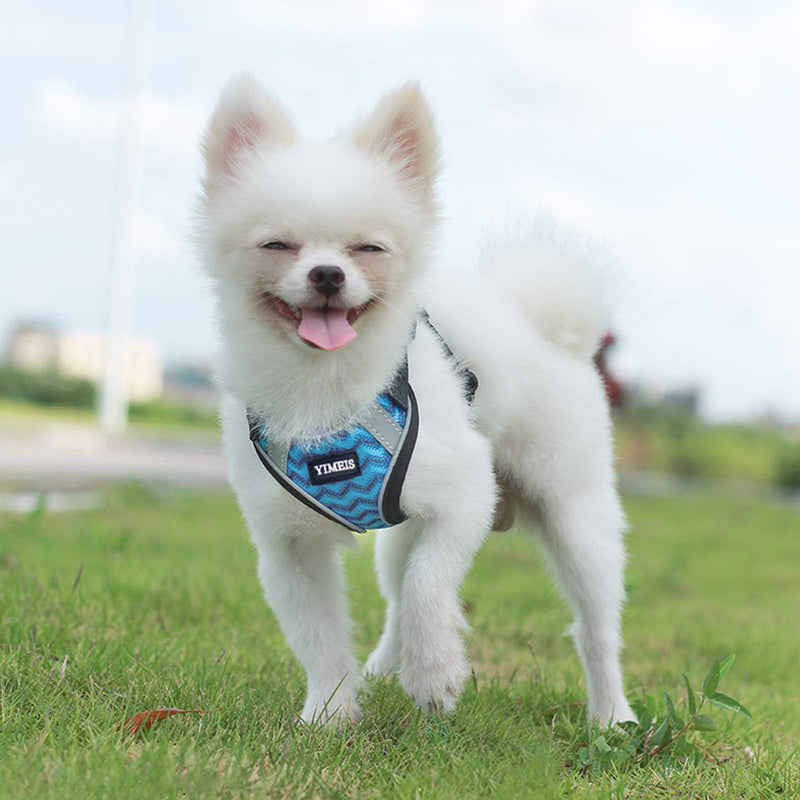 YIMEIS Dog Harness and Leash Set, No Pull Soft Mesh Pet Harness, Reflective Adjustable Puppy Vest for Small Medium Large Dogs, Cats X-Small (Pack of 1) Blue - BeesActive Australia
