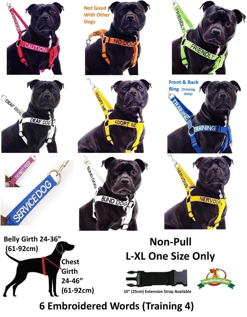 Deaf Dog Dexil Friendly Dog Collars Color Coded Dog Accident Prevention Leash 6ft/1.8m Prevents Dog Accidents by Letting Others Know Your Dog in Advance Award Winning - BeesActive Australia