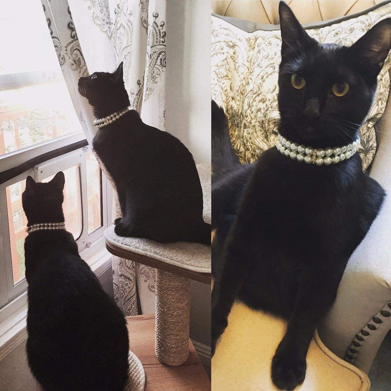 PET SHOW Fashion Two Rows Rhinestone Faux Pearl Elastic Pet Cat Puppy Small Dog Necklace Collar Jewelry Grooming Accessories Pack of 1 M 10.2" Ivory - BeesActive Australia