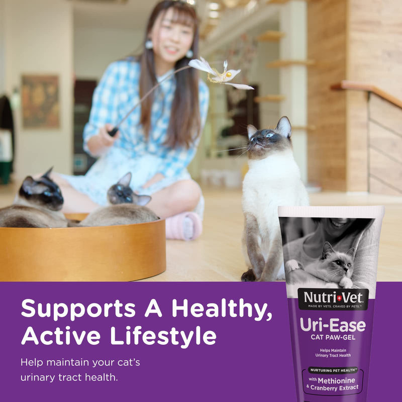 Nutri-Vet Uri-Ease Paw Gel for Cats |Helps Maintain Urinary Tract Health| Salmon Flavor | 3 ounces - BeesActive Australia