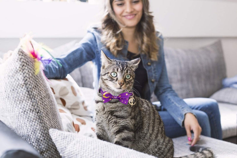 2 PCS Breakaway Cat Collar with Bow Tie and Bell Golden Moon Glowing Star in The Dark for Kitten Black & Purple - BeesActive Australia