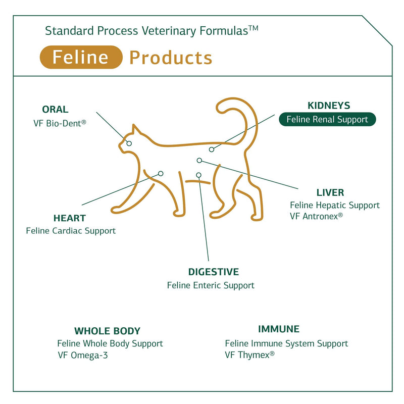 Standard Process - Feline Renal Support - Kidney and Urinary Health for Cats - 90 Tablets - BeesActive Australia
