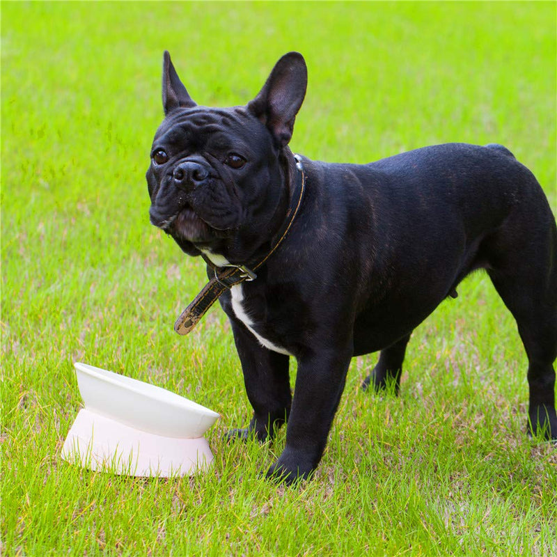 JWPC Bulldog Bowl Anti-Slip Dog Cat Dish Detachable Rubber Dog Bowl Pet Sterile Tilted Pet Feeder Slope Base White - BeesActive Australia