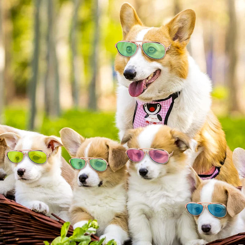 Molain Cat Sunglasses- Pet Puppy UV Protection Sunglasses Dolls Sun Glasses, Small Dog Cosplay Photo Props Cute Sunglasses 4Pcs- Aviator Sunglasses - BeesActive Australia
