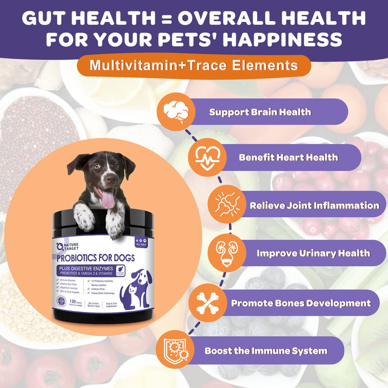 Probiotics for Dogs, 6 Billion CFUs, Freeze Dried Dog Probiotics with Prebiotics and Digestive Enzymes, Vitamins and Omega 3, for Gut & Skin & Immune Health, Allergy Itch Relief, Reduce Diarrhea, Gas - BeesActive Australia