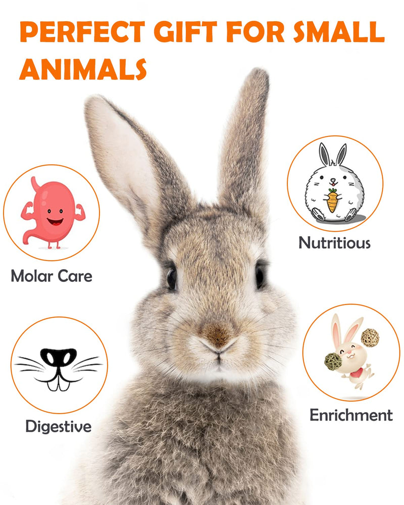 Sofier Timothy Hay Treats Rabbit Toys Bunny Toys Guinea Pig Toys Natural Chews for Teeth Handmade Rabbit Chews and Treats Chinchilla Rat Hamster Gerbil 1 Count (Pack of 12) - BeesActive Australia
