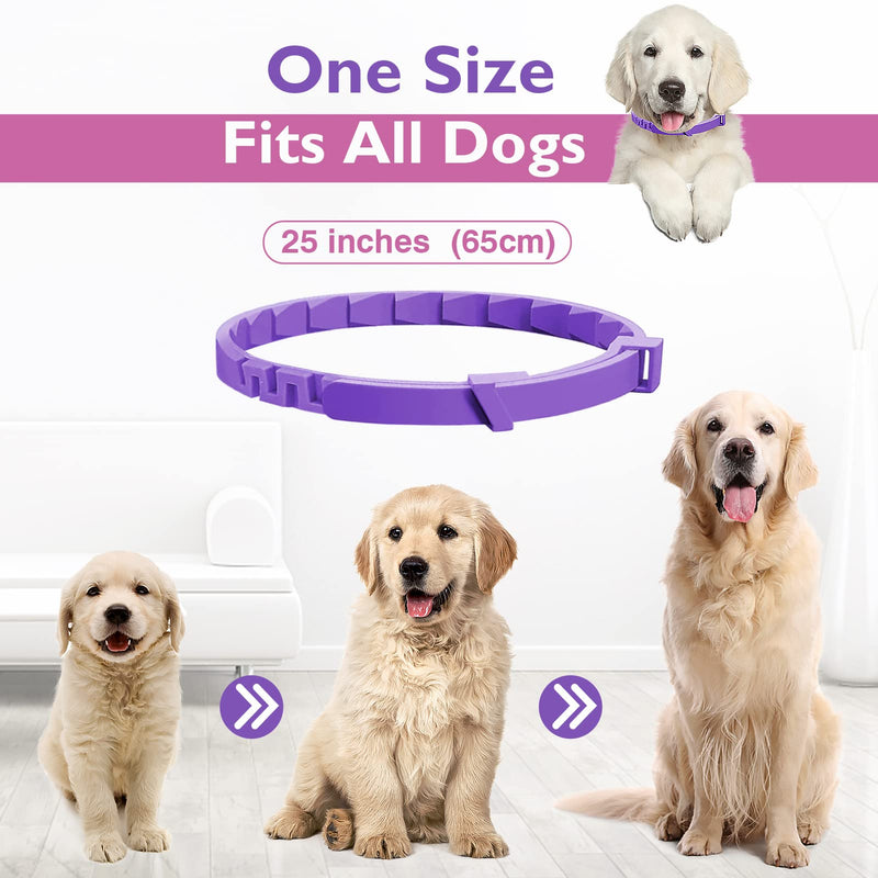Dogs Calming Pheromones Collar 3 Packs Lasts 60 Days Relieve Reduce Anxiety or Stress 25 Inches Adjustable Relaxing Comfortable Collar Breakaway Design for All Small Medium and Large Dog Purple - BeesActive Australia