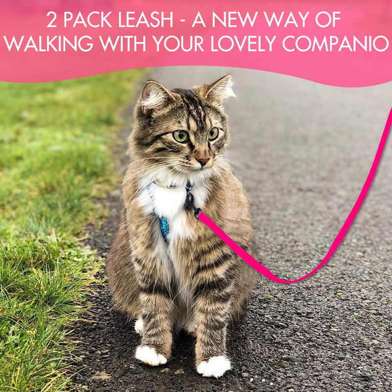 DOYOO 2 Pack Puppy Dog Leash Cat Leash, Strong and Durable Leash with Easy to Use Collar Hook - Dog Leashes for Cat with Collapsible Pet Bowl Great for Small and Medium Dog Set 02-Black+Pink - BeesActive Australia