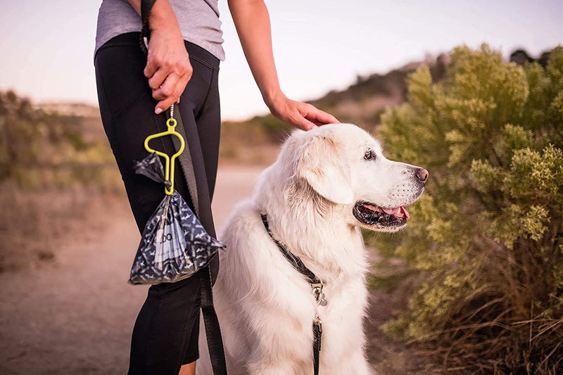 The dooloop Hands Free Dog Poop Holder - Carry Pet Waste Bag with Attachable Leash Accessory for Dog Walking. Now Made with Recycled/Recyclable Plastic. Made in Maine, USA 1 Count (Pack of 1) Gray - BeesActive Australia
