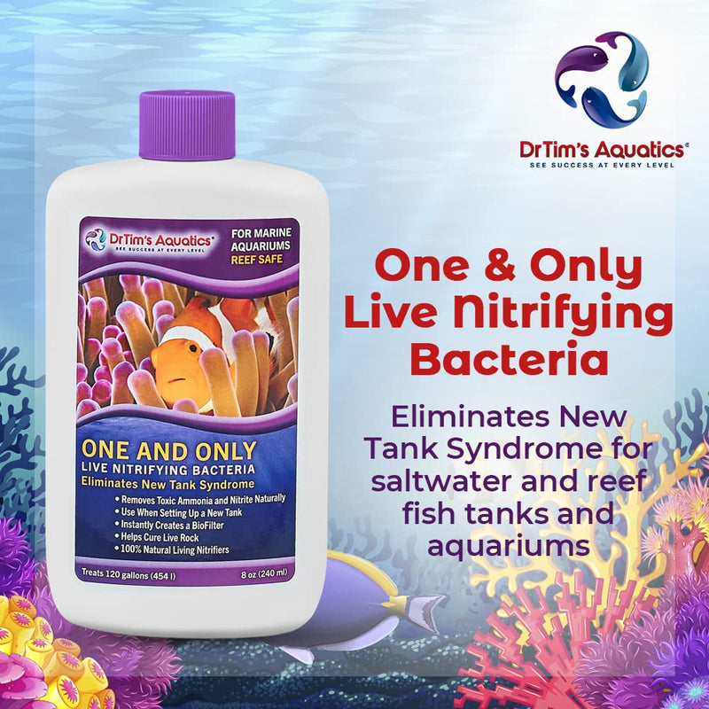 DrTim's Aquatics Reef One & Only Nitrifying Bacteria – For Reef, Nano and Seahorse Aquaria, New Fish Tanks, Aquariums, Disease Treatment – H20 Pure Fish Tank Cleaner – Removes Toxins – 2 Oz. (400) - BeesActive Australia