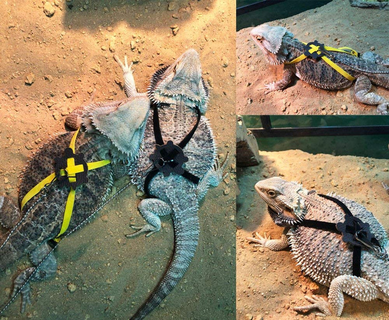 Lizard Leash Bearded Dragon Harness Adjustable Reptile Lizard Harness Leash Parrot Harness Turtle Lizard, Suitable for Gecko Hamster Kitten Small Animal Outdoor Walking Pink - BeesActive Australia