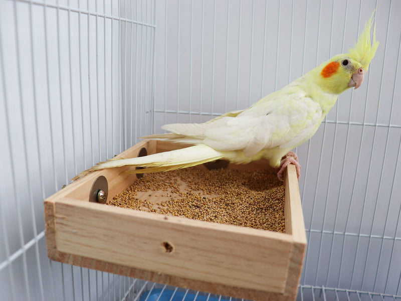 Bird Parrot Wooden Feeding Cups, Natural Wooden Parrot Bird Perch Stand, Birds Food Dish, Bird Cage Food Standing Feeding Perch Bowl Toy for Small Animal Parrot, Rat, Parakeet, Budgies, Love Birds - BeesActive Australia