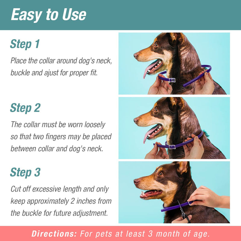 ZingZap Flea &Tick Collar 2-Pack Purple, Protects from Biting Insects, Adjustable Fits Both Dogs&Cats, Built-in Plant Based Formula, Slow Release Lasting Protection, Waterproof - BeesActive Australia