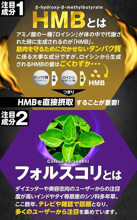 HMB Forcoli 5 Month Supply 150 Tablets - BeesActive Australia