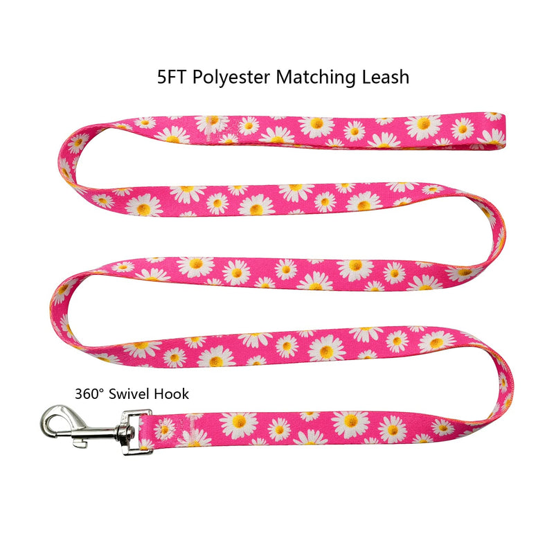 Olahibi Basic Dog Collar Leash Set 2 in 1, Durable Collar and 5ft Matching Lead. S Daisy Set - BeesActive Australia