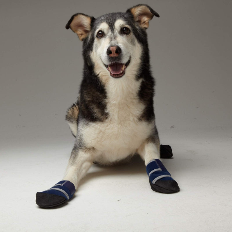 Healers Medical Dog Boots and Gauze Bandages, Box Set of 2 Boots with 2 Gauze Pads, Blue Medium 1 - BeesActive Australia