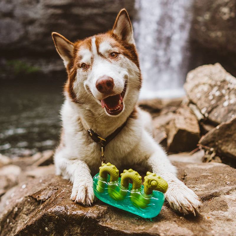 BarkBox Tough Dog Toys & Chews for Aggressive Chewers, Durable Rubber & Nylon Super Chewer Treat Dispensing, Balls, & Teething Toys for Small, Medium, & Large Dogs and Puppies Medium/Large Dog Dog Ness Monster - BeesActive Australia